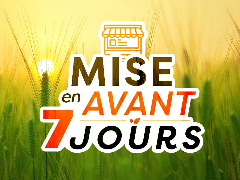 Mise en Avant (accueil du site) 7 jours